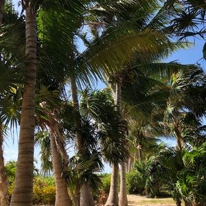 Meet your Posher, Gabrielle